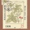 2344 - Germania DDR carte maxima 1982