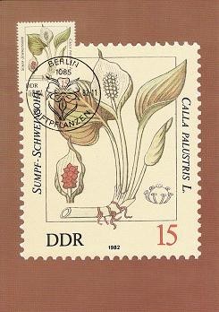 2342 - Germania DDR carte maxima 1982