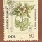 2346 - Germania DDR carte maxima 1982