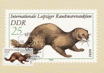 2332 - Germania DDR carte maxima 1982 foto