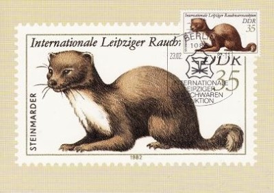 2333 - Germania DDR carte maxima 1982 foto