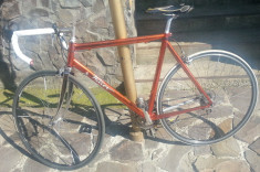 Vand Cursiera Wilier TRIESTINA 1993 - Super Okazie !!! foto