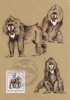 C4142 - Germania DDR carte maxima 1986