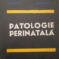 h4 Patologie perinatala - Dr Gh. Ursu, Dr. I Lupea, Dr. Lilly R.