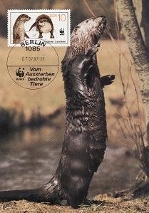 2732 - Germania DDR carte maxima 1987 foto