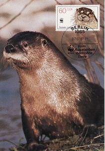 2735 - Germania DDR carte maxima 1987 foto