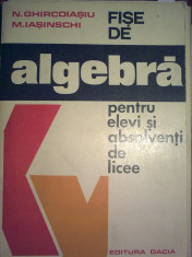 N. Ghircoiasiu - Fise de algebra pentru elevi si absolventi de licee foto