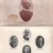 Un partid si un om- Partidul poporului, Al.Averescu-de M.Hottineanu-cca 1920
