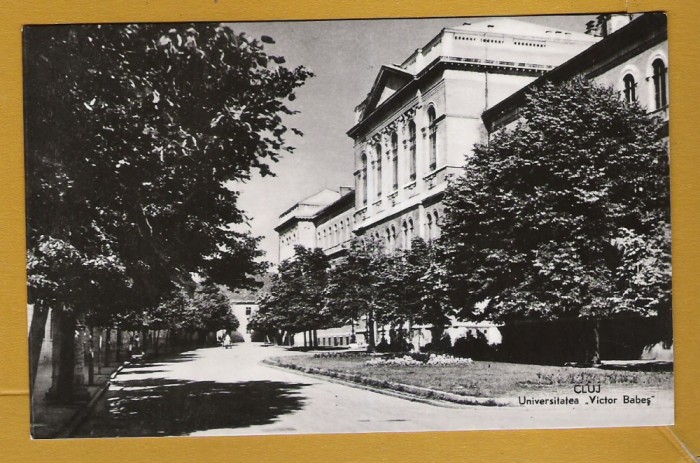 CLUJ UNIVERSITATEA VICTOR BABES RPR