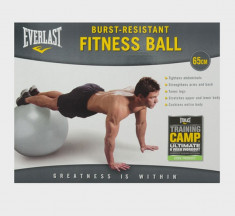 Everlast - Minge fitness gonflabila 61 cm cu DVD training si pompa inclusa - cel mai bun pret! foto
