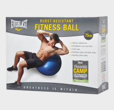 Everlast - Minge fitness gonflabila 75 cm cu DVD training si pompa inclusa - cel mai bun pret! foto