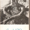 (C4084) SECOLUL 20, LITERATURA POLITISTA, NR. 7, 1968, EDITATA DE UNIUNEA SCRIITORILOR DIN RSR