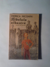 Viorica Nicoara - Libelula albastra - Editura Ion Creanga - 1988 foto