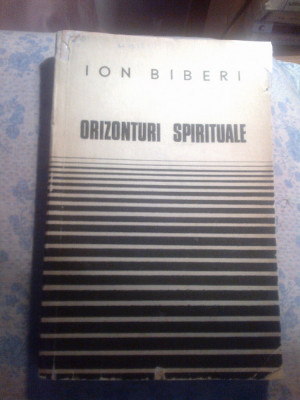 d3 ION BIBERI - ORIZONTURI SPIRITUALE foto