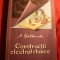 A.Baltaretu - Constructii Electrotehnice - Activitate practica pionieri - 1958