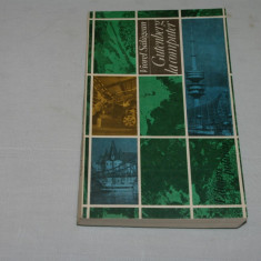 Gutenberg la computer - Viorel Salagean - Editura Politica - 1981