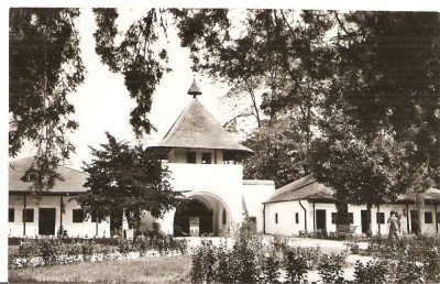 CPI (B3504) MUZEUL DIN GOLESTI, EDITURA MERIDIANE, NECIRCULATA, 8378 foto