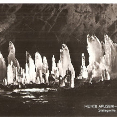 CPI (B3508) MUNTII APUSENI. PESTERA SCARISOARA, STALAGMITE DE GHIATA, EDITURA MERIDIANE, SCRISA SI NECIRCULATA, DATATA 1964, R.P.R., 2308