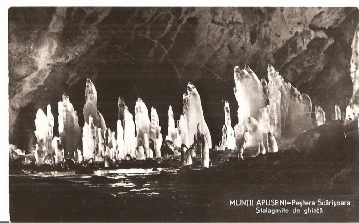 CPI (B3508) MUNTII APUSENI. PESTERA SCARISOARA, STALAGMITE DE GHIATA, EDITURA MERIDIANE, SCRISA SI NECIRCULATA, DATATA 1964, R.P.R., 2308