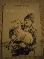 BERBECUL BRUMARIU Horvath Istvan desene povesti copii editura tineretului 1957 foto