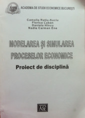 MODELAREA SI SIMULAREA PROCESELOR ECONOMICE. Proiect de disciplina - Ratiu-Suciu foto