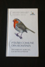 Ghid identificare/ Determinator pasari comune din Romania foto