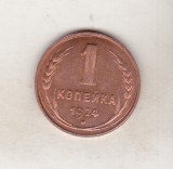 Bnk mnd Russia 1 kopeika 1924 - REPLICA , cupru, Europa