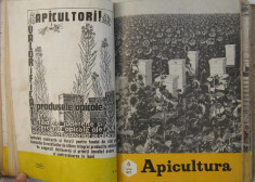 revista APICULTURA,colectie completa pe anul 1972 (stuparit,albinelor,stuparului,albinarit) 10 lei/revista foto