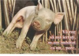 CPI (B3553) &quot;VA ROG SA MA SCUZATI, M-AM IMBATAT CA UN ... PORC, EDITURA AGNUS DESIGN, SCRISA SI NECIRCULATA