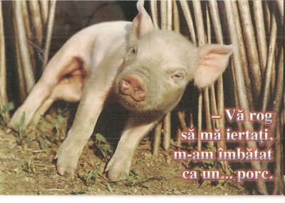 CPI (B3553) &amp;quot;VA ROG SA MA SCUZATI, M-AM IMBATAT CA UN ... PORC, EDITURA AGNUS DESIGN, SCRISA SI NECIRCULATA foto