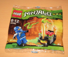 Lego Ninjago 30085 Jumping Snakes foto