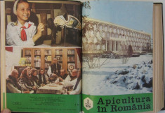 revista APICULTURA IN ROMANIA,colectie completa pe anul 1979 (stuparit,albinelor,stuparului,albinarit) 10 lei /revista foto