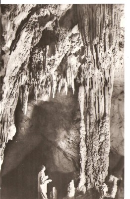 CPI (B3580) MUNTII BIHORULUI. ASPECT DIN PESTERA MEZIAD, EDITURA MERIDIANE, SCRISA SI NECIRCULATA, DATATA 1964, (334), R.P.R. foto