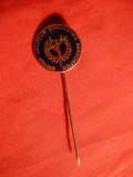 Insigna Asoc. Britanica Gimnastica -Amatori