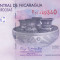 Bancnota Nicaragua 50 Crodobas 2007 - P203 UNC