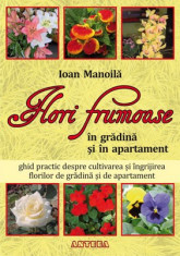 Flori frumoase in gradina si in apartament - Ioan Manoila foto
