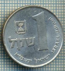 4262 MONEDA - ISRAEL - 1 SHEQEL - anul 1981 ? -starea care se vede foto