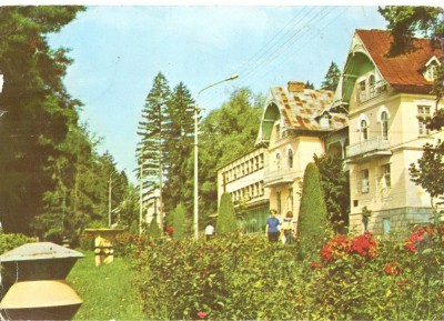 CPI (B3647) GOVORA, EDITURA MERIDIANE, CIRCULATA, 1981, STAMPILE, TIMBRU foto