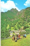 CPI (B3685) MUNTII COZIEI SI MANASTIREA STANISOARA, EDITURA MERIDIANE, NECIRCULATA, TIMBRU
