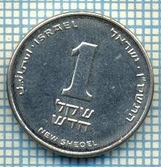 4286 MONEDA - ISRAEL - 1 NEW SHEQEL - anul 2006 ? -starea care se vede foto