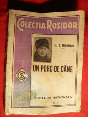 Al.O.Teodoreanu - Un Porc de Cane- Prima Ed. 1933 foto