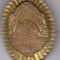 Insigna/Semn de arma , Romania stema R.S,R