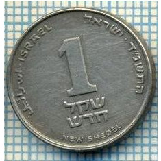 4282 MONEDA - ISRAEL - 1 NEW SHEQEL - anul 1994 ? -starea care se vede