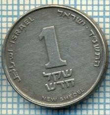 4282 MONEDA - ISRAEL - 1 NEW SHEQEL - anul 1994 ? -starea care se vede foto