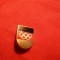 Insigna veche Olimpica RFG, h= 1,6 cm,cu inscriptia fabricantului pe spate,metal