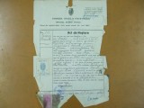 Act de nastere Primaria orasului Piatra Neamt 1922 + bilet taxa act nastere