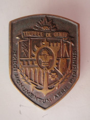 INSIGNA -MEDALIE TRUPELE DE GENIU 1859 foto