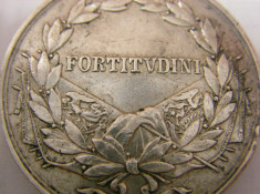 Vand medalion FORTITVDINI Austria foto