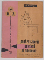 Pentru tinerii prieteni ai albinelor,P.Dabija,apicultura,stuparit,albinarit,1965 foto