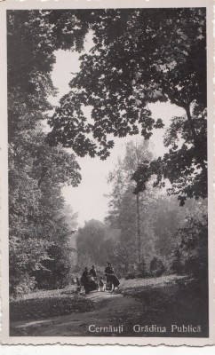 E B76445 Ukraine Romanian Occupation Czernowitz Cernauti public garden foto
